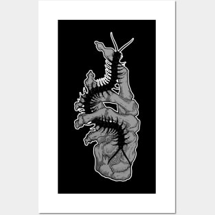 ―scolopendra Posters and Art